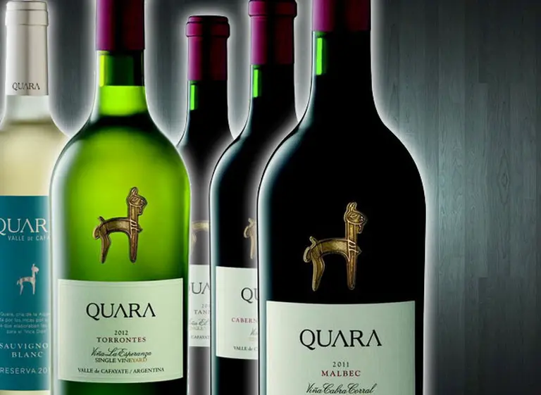 Cinco vinos recomendados para saber qué propone hoy Finca Quara en la alta gama