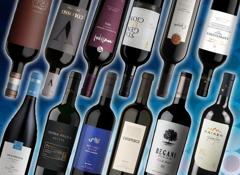 Guí­a de compras: qué vinos tintos de alta gama elegir en función de tu estilo