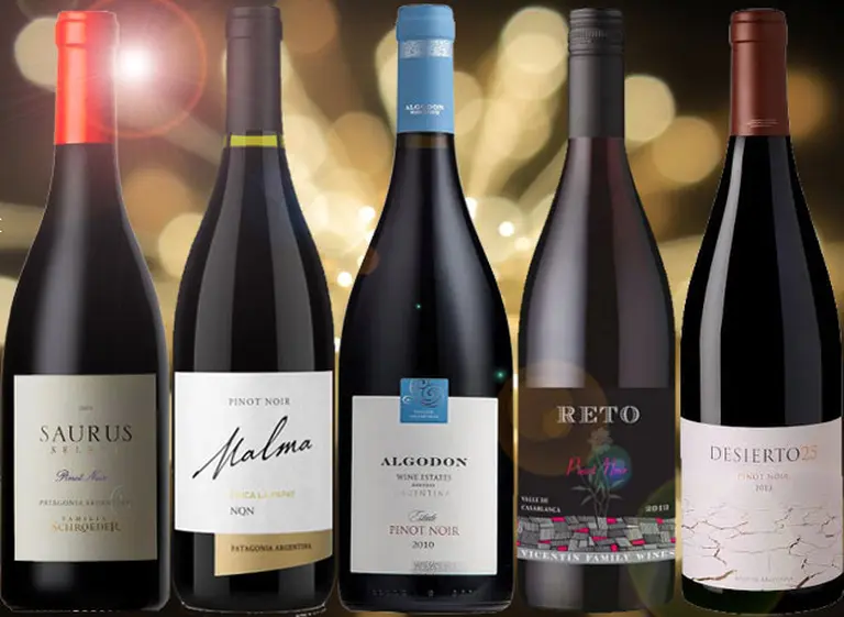 Guí­a de compras: 5 Pinot Noir ideales para sobrellevar el verano