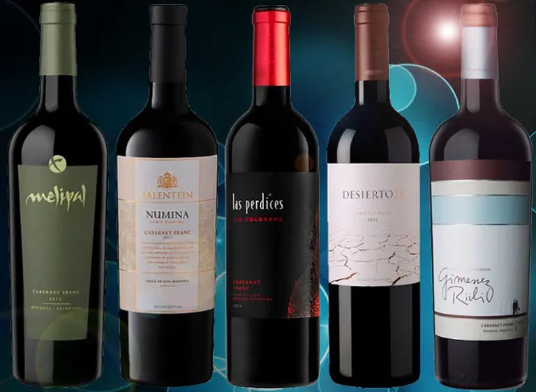 Guí­a de compras: 5 Cabernet Franc de alta gama para conocer más sobre esta variedad