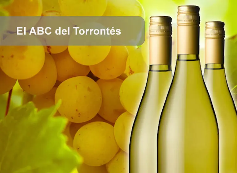 El ABC del Torrontés: 10 claves para conocer mejor las cualidades de esta variedad