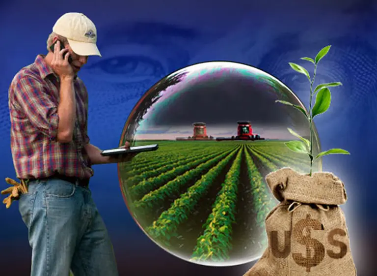 ¿Cómo acceder al programa de estí­mulo a productores de granos?