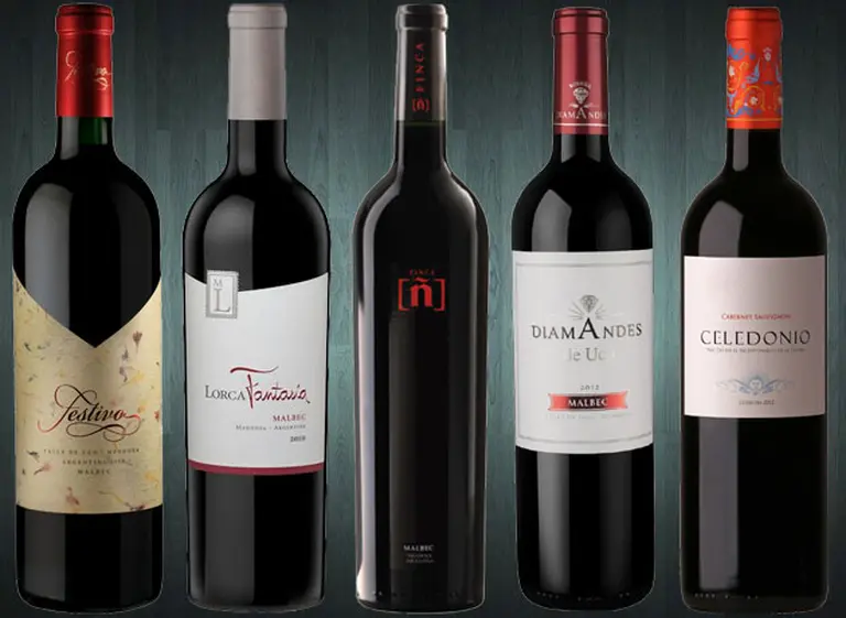 Guí­a de compras: cinco Malbec con el "ADN" del Valle de Uco para disfrutar de los vinos de terroir