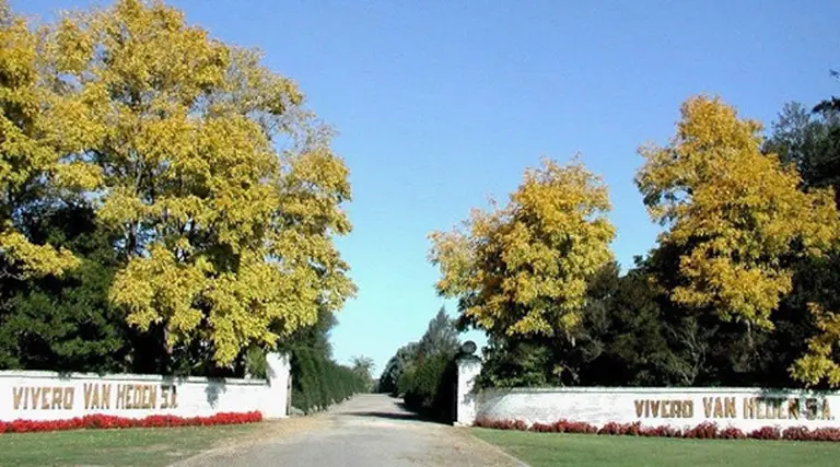 Por retener aportes, AFIP denunció penalmente al vivero Van Heden