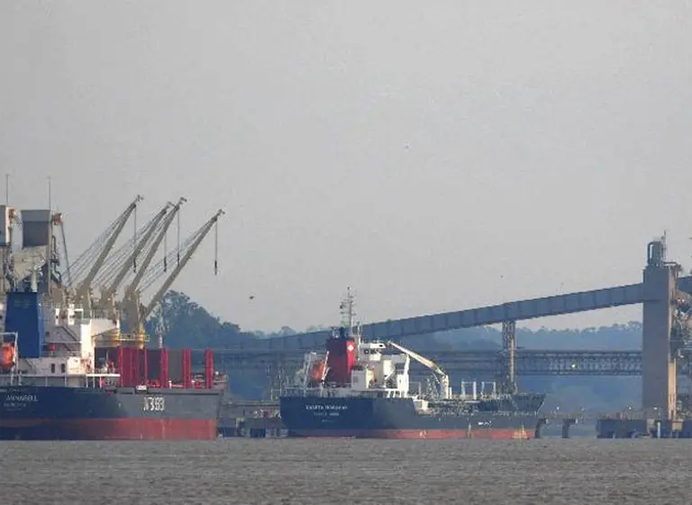 Por huelga de aceiteros, están paralizados cinco buques agroexportadores