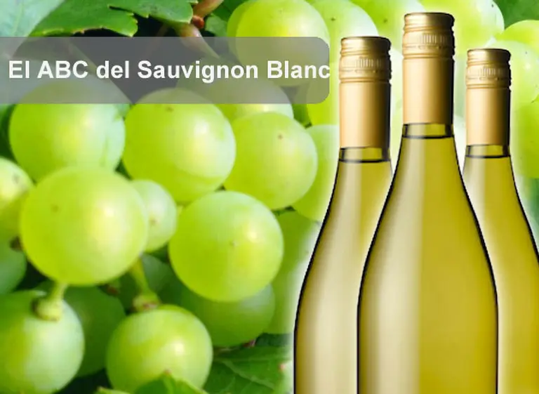El ABC del Sauvignon Blanc: 10 claves para conocer a fondo las cualidades de esta variedad