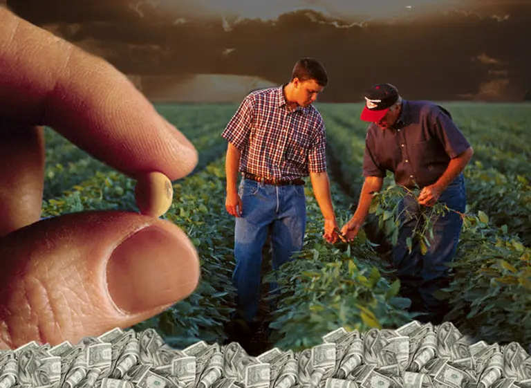 La sorpresiva Cresud, la acción que subió más 30% en sólo dos semanas