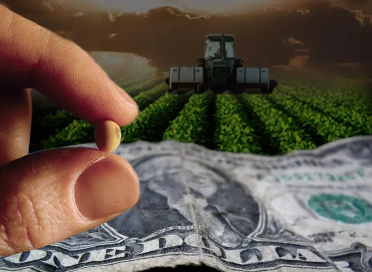 Sufre la "caja verde": el precio de la soja no detiene su caí­da y cotiza a su nivel más bajo desde 2009