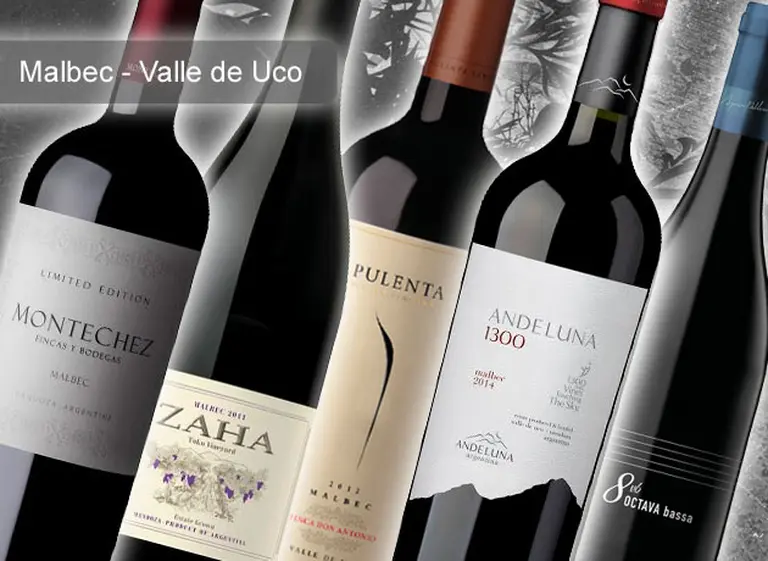Guí­a de compras: cinco Malbec del Valle de Uco para escapar de las marcas masivas