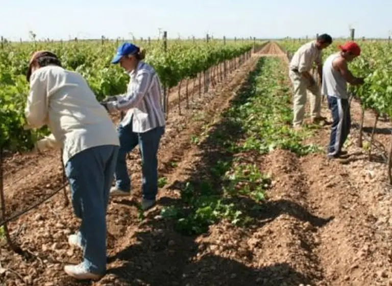 La AFIP relevó a un trabajador rural al que su empleador no le pagó los aportes durante 40 años