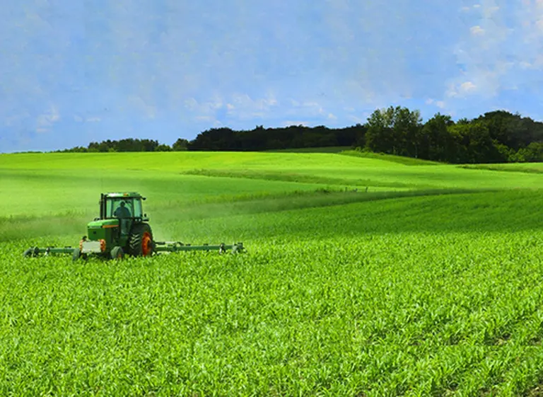 UPL, la compañí­a india de agroquí­micos que apuesta a expandirse en el paí­s