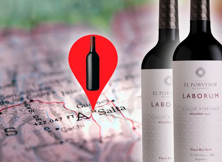 El Porvenir lanza su primer Bonarda exclusivo para el mercado del Reino Unido