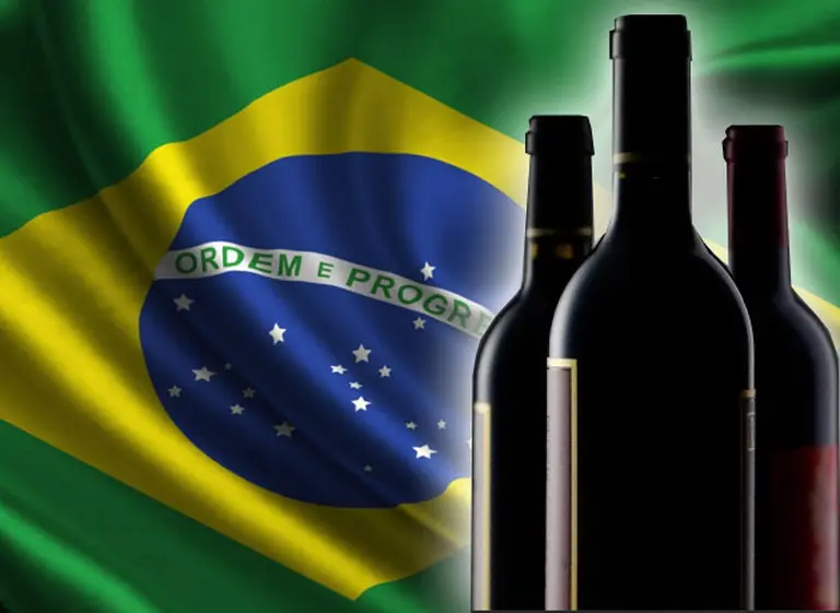 De estar casi "empatados", Chile pasó a exportar a Brasil un 170% más de vino que la Argentina