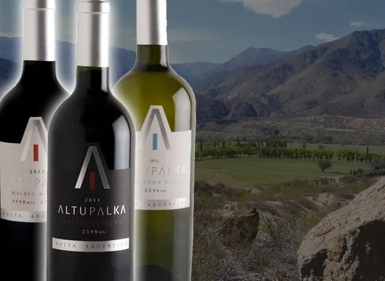 ¿Hay "vinos extremos"?: Altupalka lo demuestra desde una altura a la que pocas llegaron