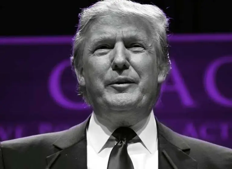 ¿Quiénes son los "bebes ancla" mencionados por Donald Trump?