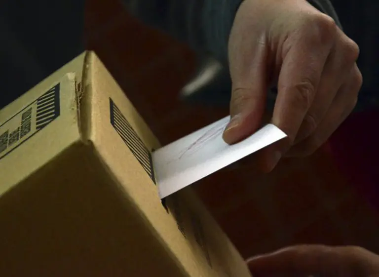 Padrón electoral: consulte dónde vota en los comicios del 25 de octubre