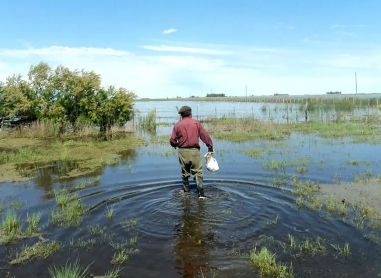 Los productores desmienten que la siembra directa haya causado la inundación en la Provincia