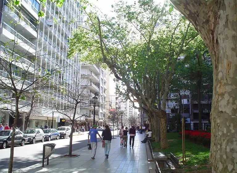 Nueva Córdoba: radiografí­a de la zona con mayor crecimiento del interior, precios y oportunidades