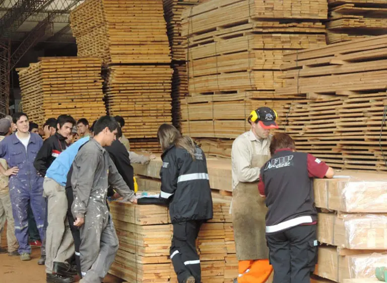 Megaoperativo de AFIP en una empresa forestal de Misiones