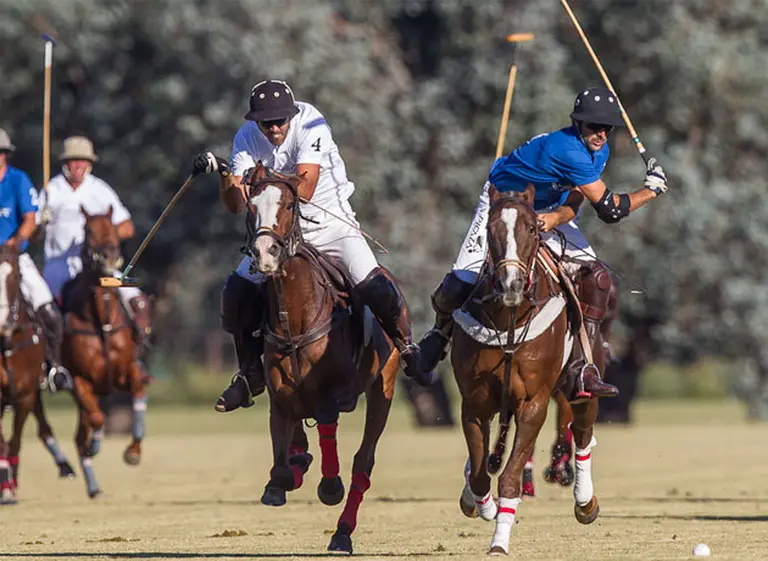 La reforma tributaria dejó sin efecto beneficios impositivos para la crí­a de equinos