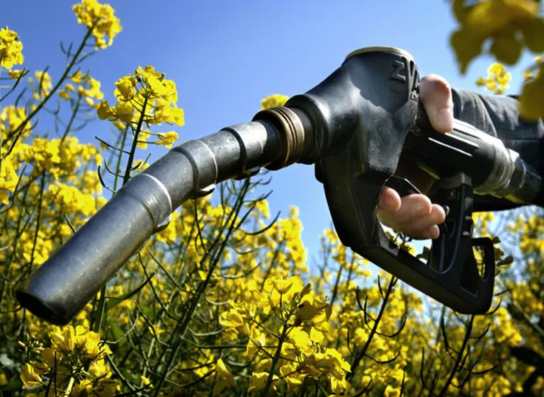 Biodiesel y la falsa dicotomí­a: por qué llenar el tanque con energí­a derivada de soja no compite con los alimentos