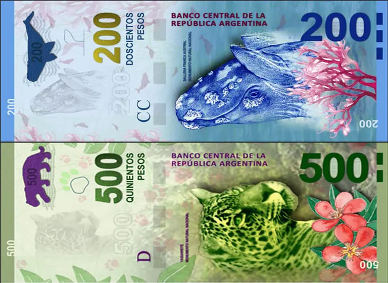 Billetes sin próceres: para cambiar u$s100 se necesitarán un hornero, cuatro tarucas y un cóndor