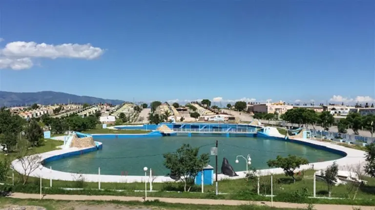 El Cantri: el barrio de la Tupac Amaru que vive bajo las reglas que impone Milagro Sala