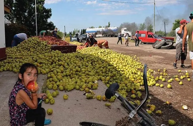 Afuera es más barato: advierten sobre el impacto negativo de las importaciones en zonas productoras