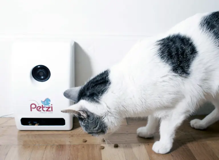 La tecnologí­a ayuda a mantener a sus mascotas sanas y conectadas