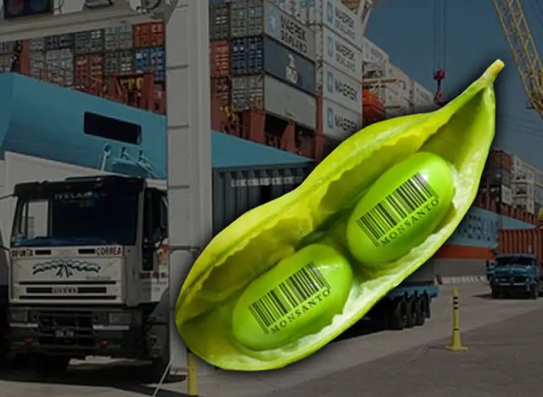 Batalla campal entre Monsanto y el campo por cláusula que cambia el negocio de la soja