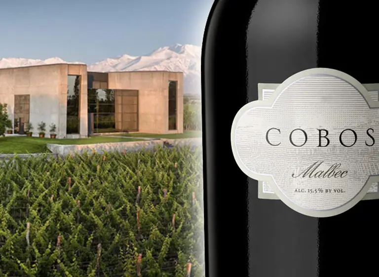 Negocio del vino: Molinos compra 50% de bodega Viña Cobos