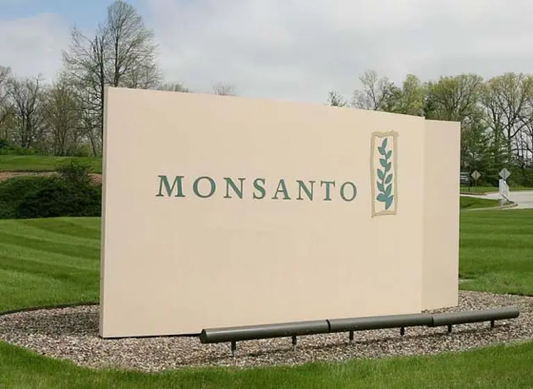 Con la compra de Monsanto, Bayer heredará la polémica en torno a los transgénicos, asegura WSJ