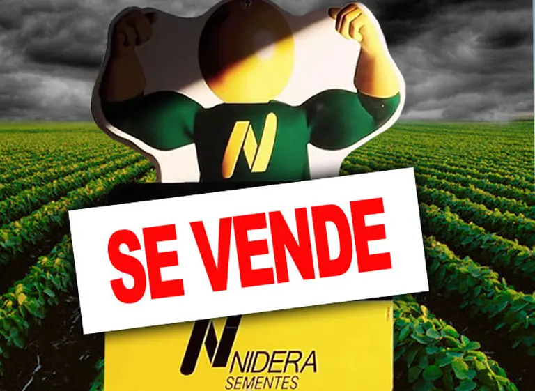 A cinco meses de haber comprado Nidera, el holding chino Cofco analiza vender la cerealera