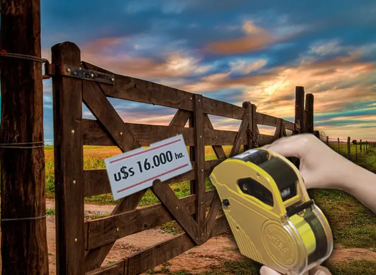 Un buen momento para comprar un "campito": los precios siguen baratos y subirán a fin de año