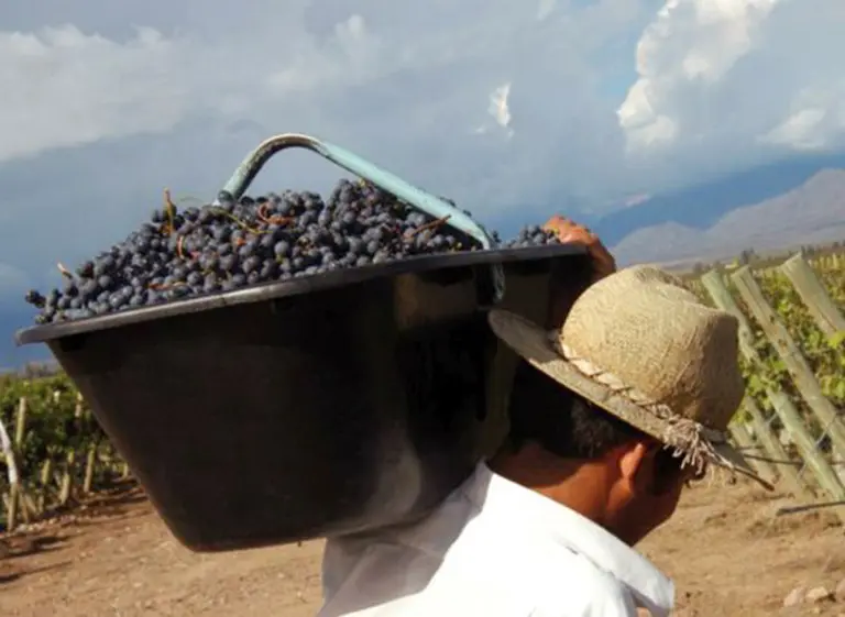 Seis claves de la Ley de Coninagro para "promocionar" economí­as regionales