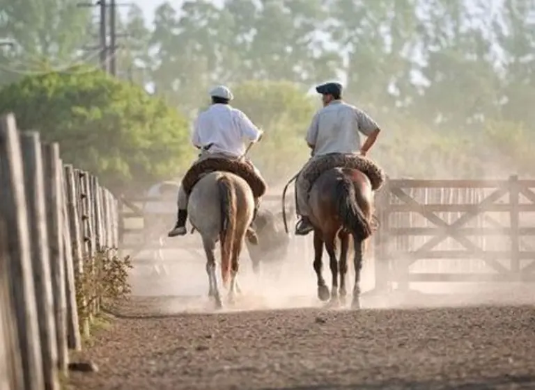 El 60% de la población activa en el mundo trabaja "en negro"