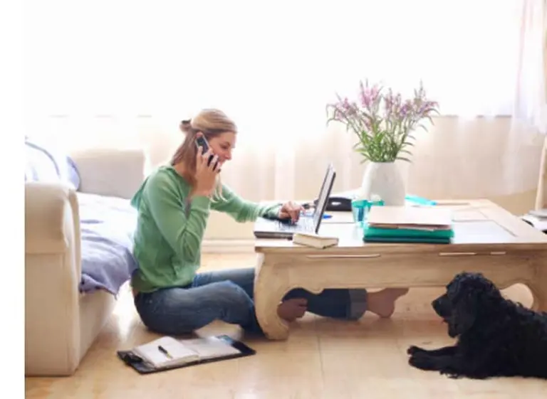 Por críticas empresarias, el Gobierno prepara una ley de Teletrabajo "menos mala": los puntos que tenés que saber