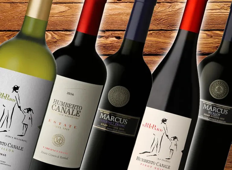 Cinco vinos para descubrir qué propone hoy la bodega Humberto Canale en la alta gama