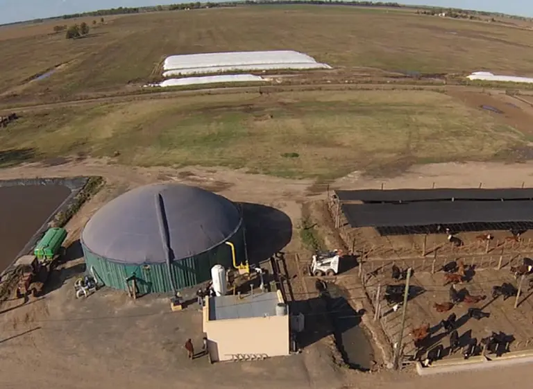 Proponen transformar los residuos de la industria agropecuaria en energí­a