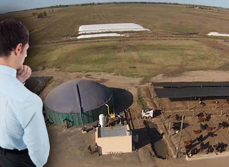 Tierra de oportunidades: italianos cruzan el Atlántico en busca de energí­as renovables