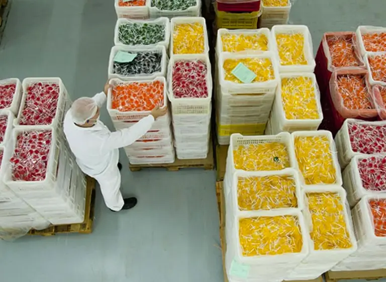 El mayor productor de alimentos de Argentina cambia su estrategia de sustentabilidad