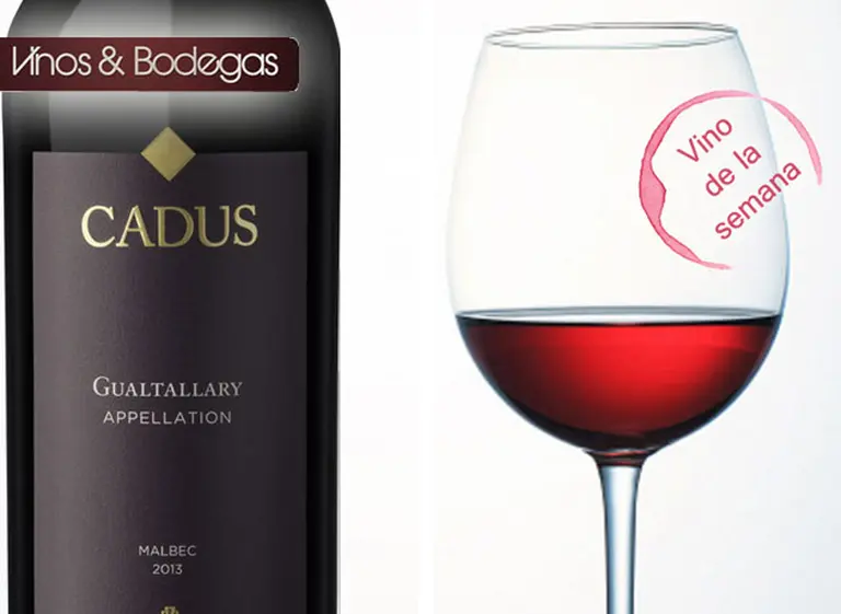 Cadus Appellation Malbec: el costado más elegante de Gualtallary, para paladares universales