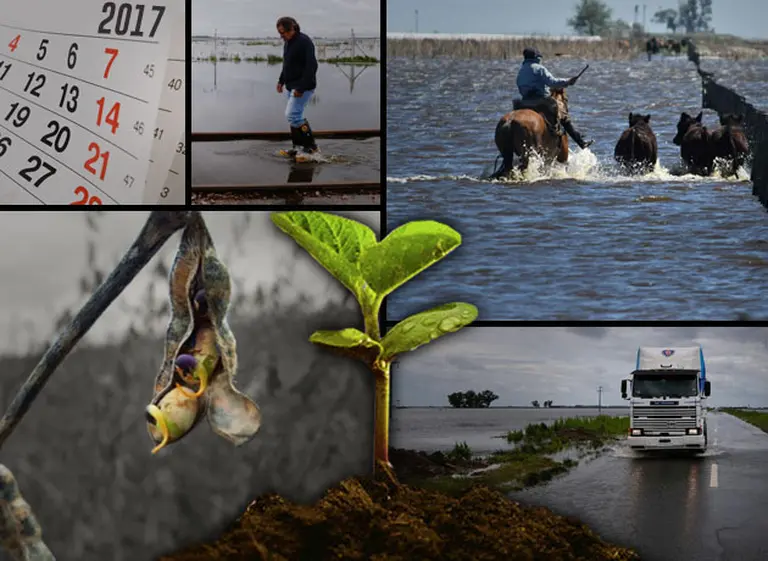 Inundaciones reducen la cosecha de soja y suman preocupación: ¿en cuánto complican a la economí­a?
