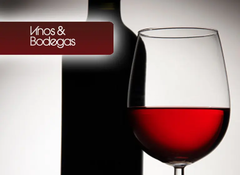 Vinos recomendados: 8 grandes Malbec de Salta que no podés dejar de probar