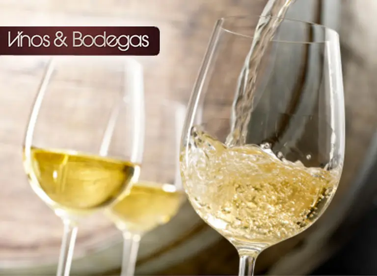 Vinos recomendados: cinco blancos para salir de lo común