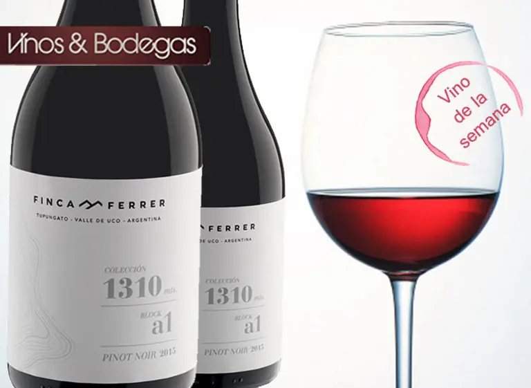 Vino de la semana: por qué tenés que probar el nuevo Pinot Noir de bodega Finca Ferrer