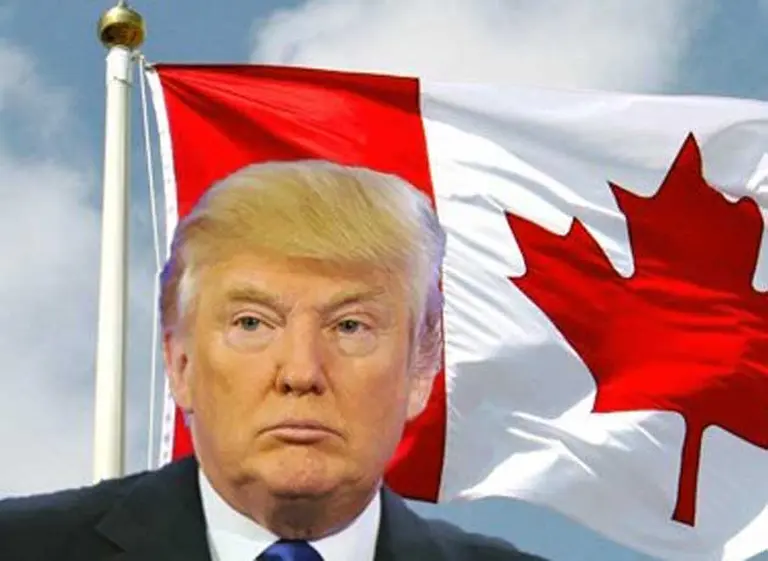 "Cómo mudarse a Canadá": colapsó el sitio migratorio por las consultas desde EE.UU.