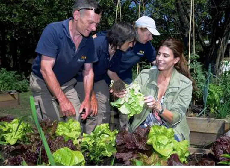 Reemplazarán el helipuerto de la Casa Rosada por una huerta orgánica