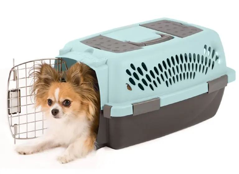 Ya es ley: este verano se podrá viajar en el subte con mascotas