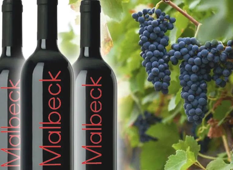 Malbec, pero con "k": en el pasado, la cepa estrella argentina no se escribí­a como ahora